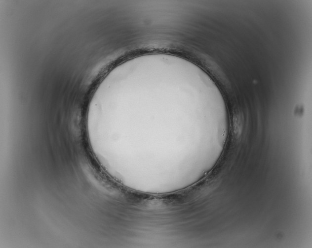 X0000113760588200910211211