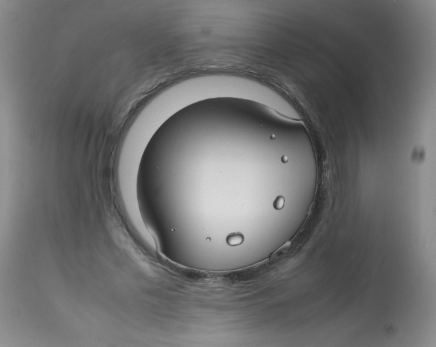 X0000113760589200910211211