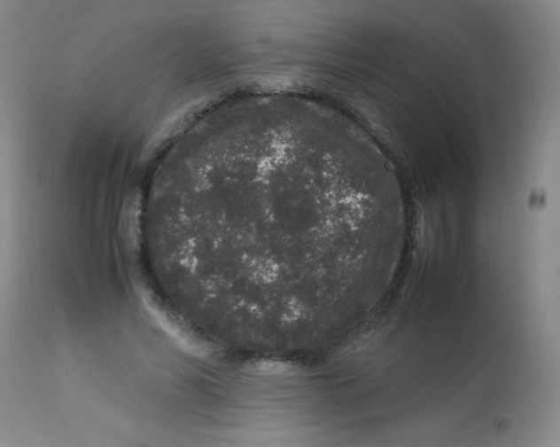 X0000113760590200910211211