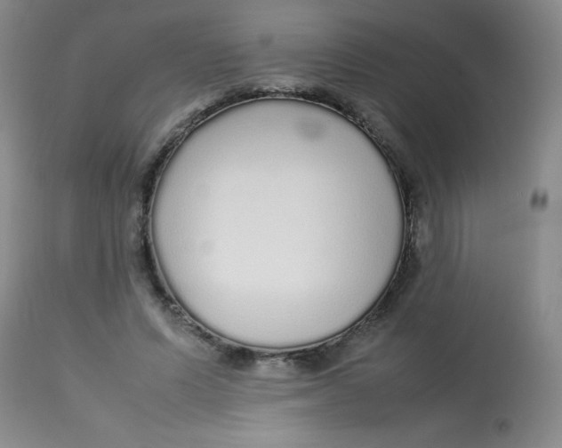 X0000113760591200910211211