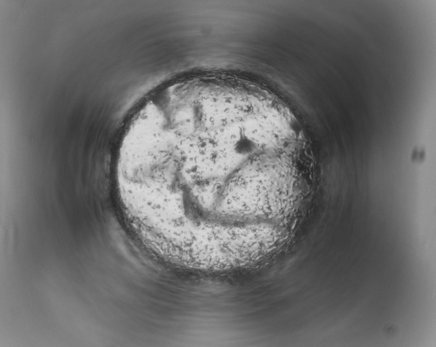 X0000113760592200910211211