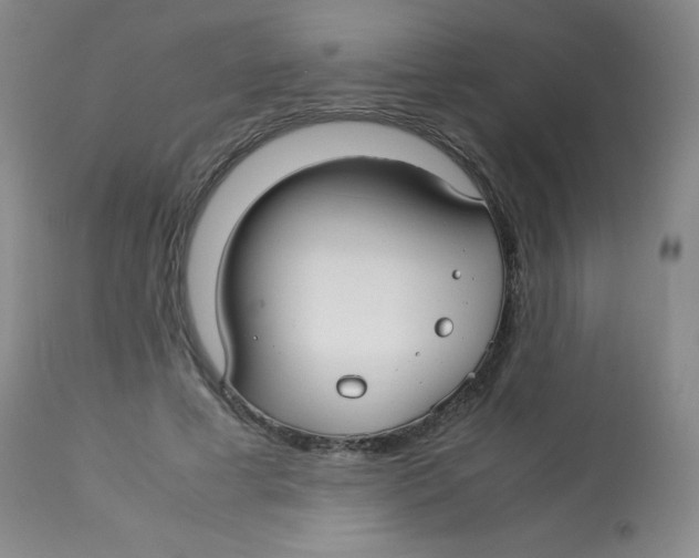 X0000113760593200910211211