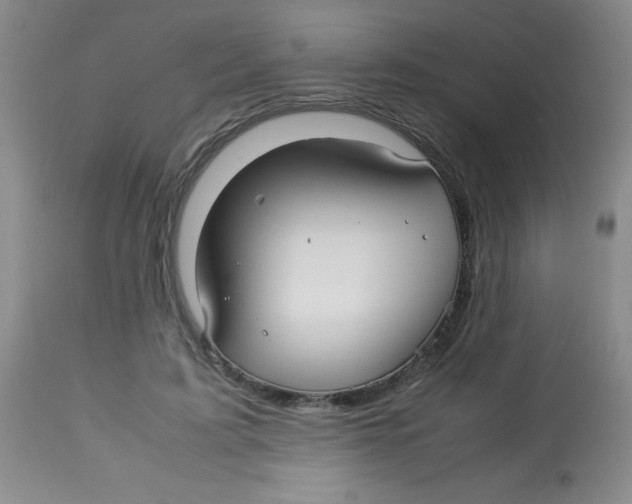 X0000113760595200910211211