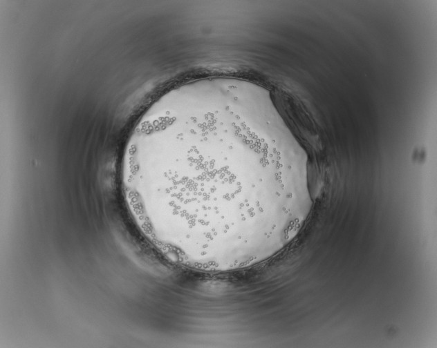 X0000113760596200910211211