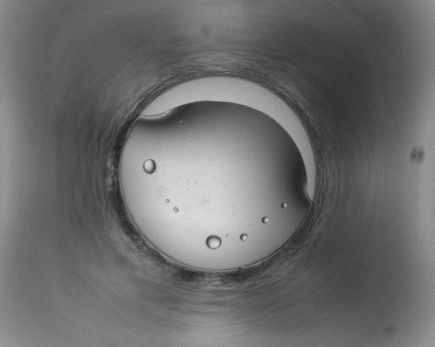 X0000113760597200910211211