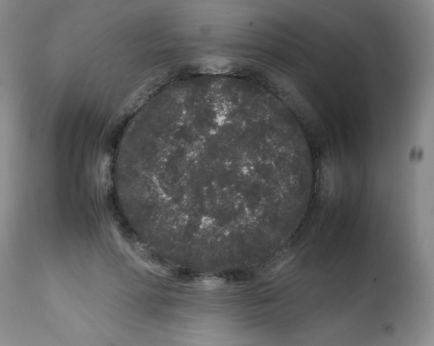 X0000113760598200910211211