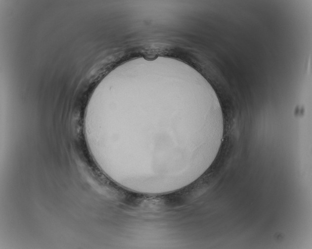 X0000113760599200910211211