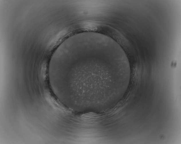 X0000113760600200910211211