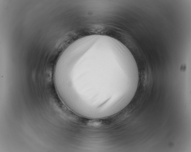 X0000113760602200910211211