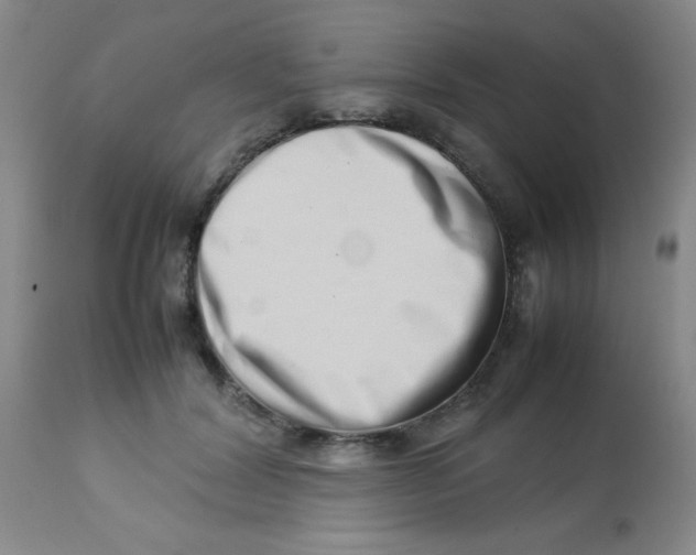 X0000113760604200910211211