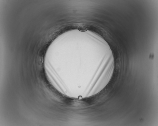 X0000113760605200910211211