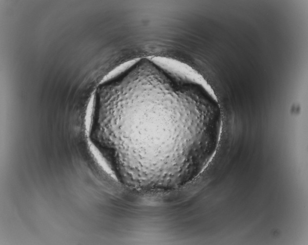 X0000113760606200910211211