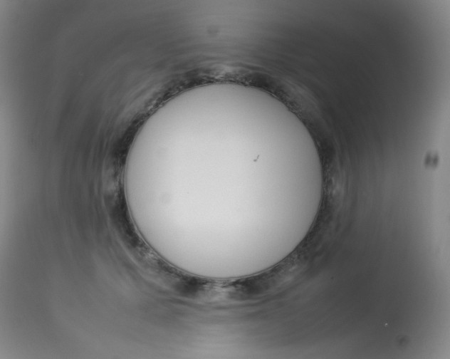 X0000113760607200910211211