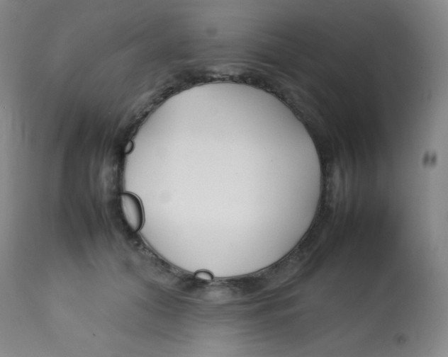 X0000113760608200910211211
