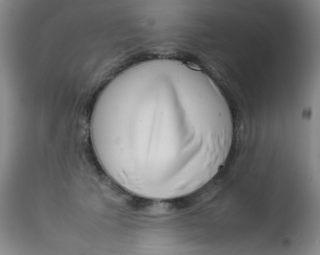 X0000113760609200910211211