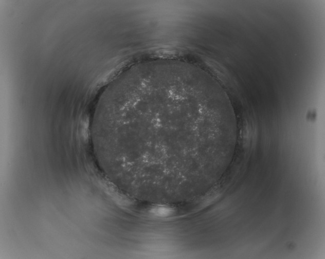 X0000113760610200910211211