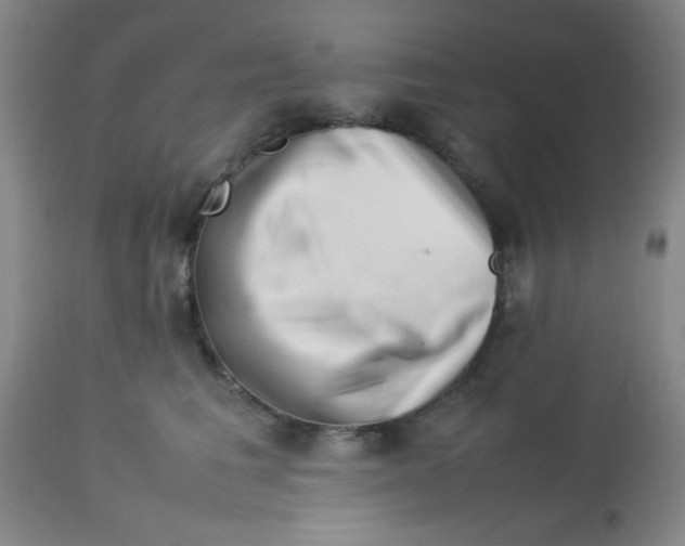 X0000113760613200910211211