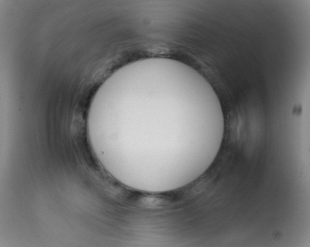 X0000113760614200910211211
