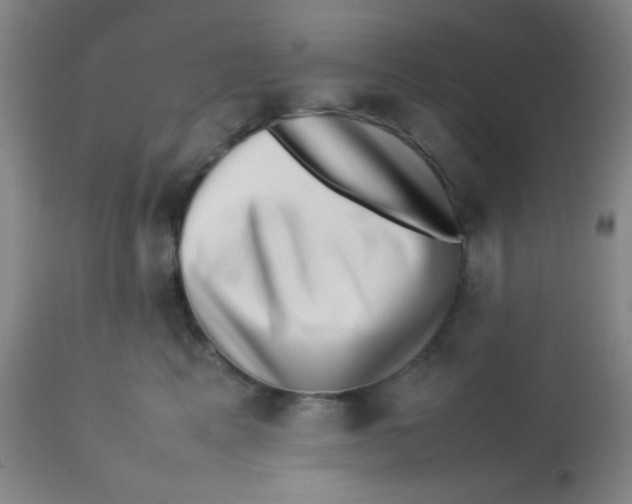 X0000113760617200910211211