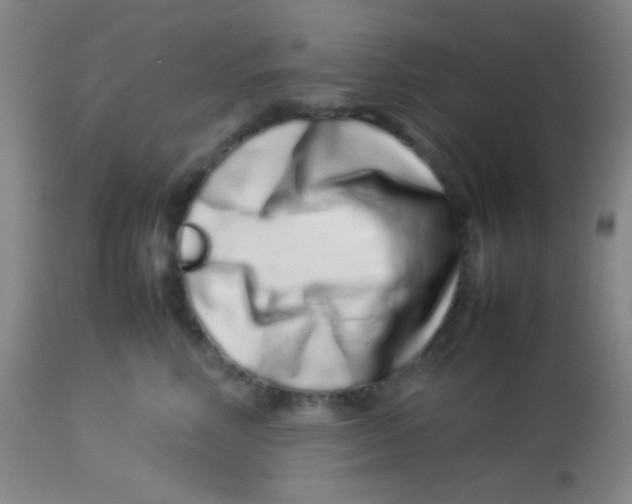 X0000113760618200910211211