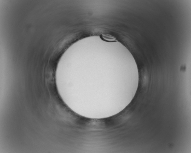 X0000113760619200910211211