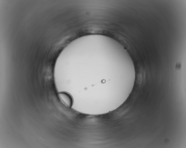X0000113760620200910211211