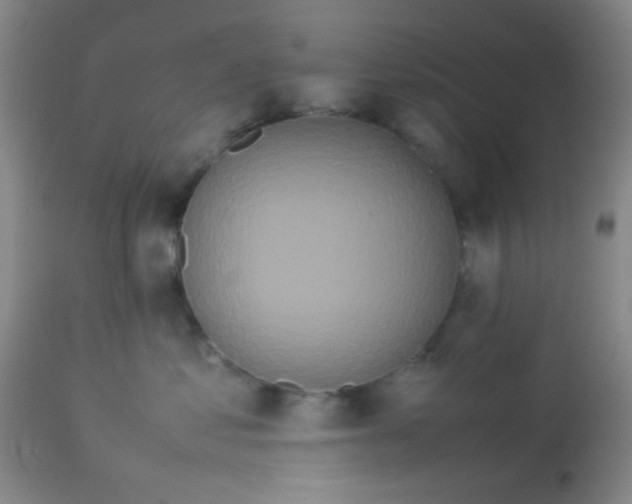 X0000113760621200910211211