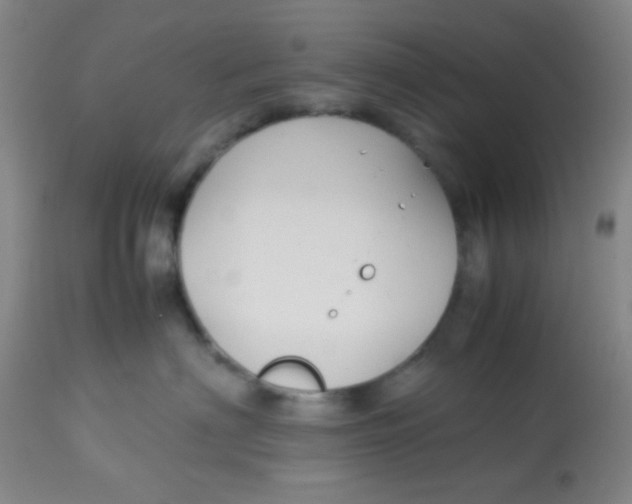 X0000113760622200910211211