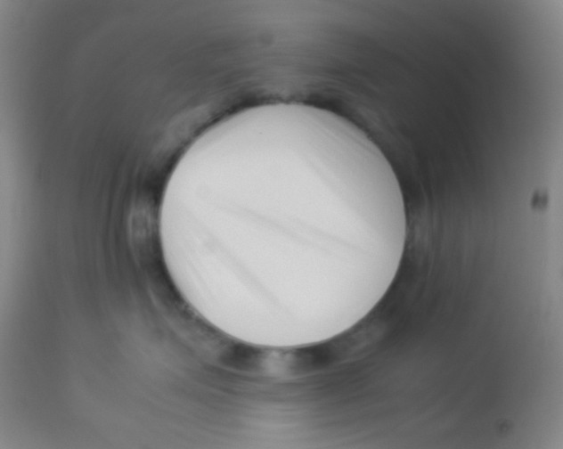 X0000113760623200910211211