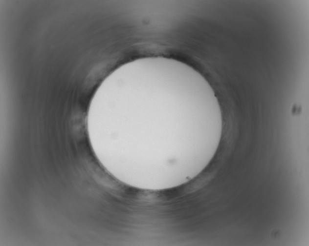 X0000113760624200910211211