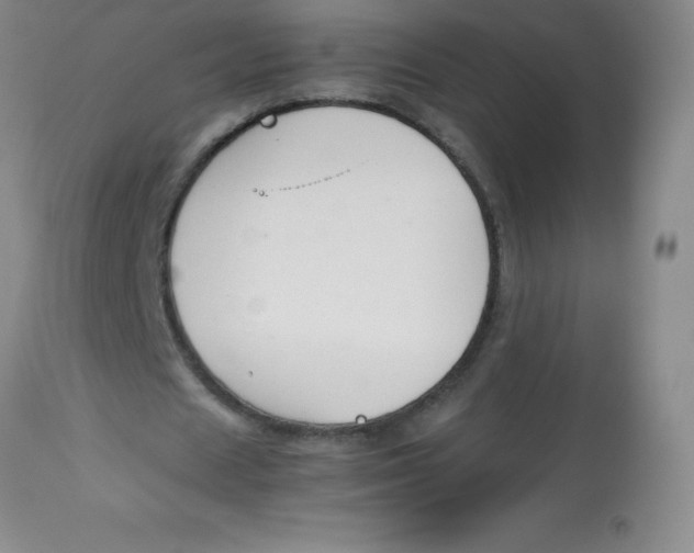 X0000113760625200910211210