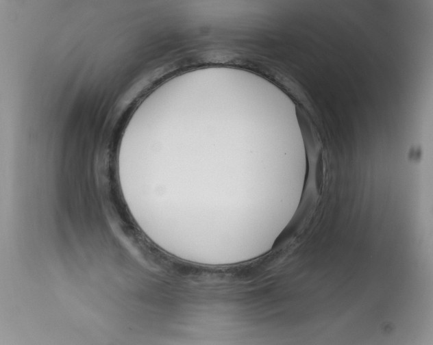 X0000113760626200910211210