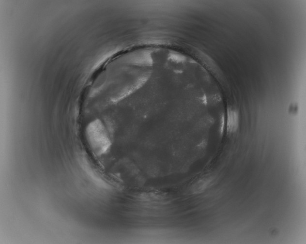 X0000113760627200910211210