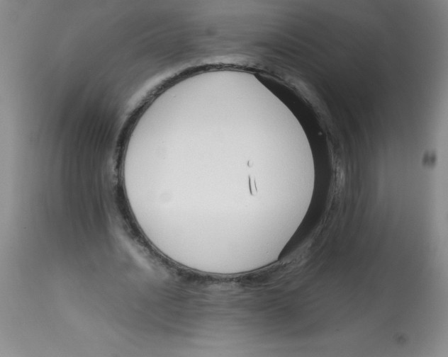 X0000113760628200910211210