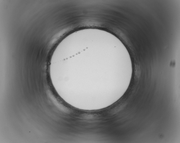 X0000113760629200910211210