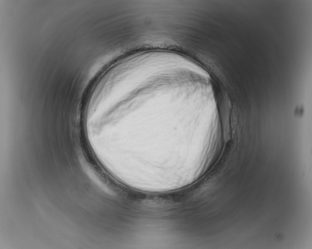 X0000113760630200910211210