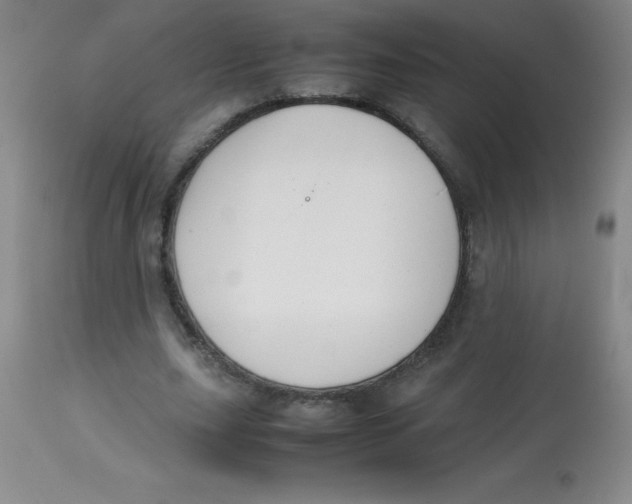 X0000113760631200910211210