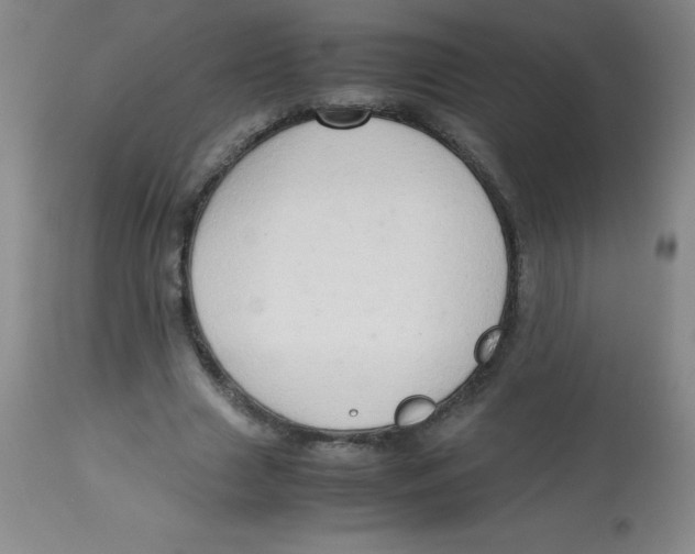 X0000113760633200910211210