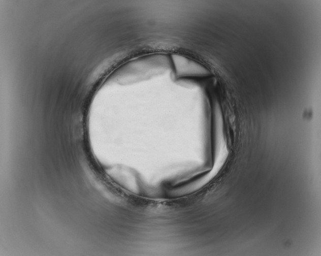 X0000113760634200910211210