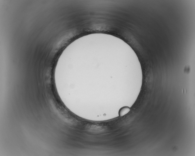 X0000113760635200910211210