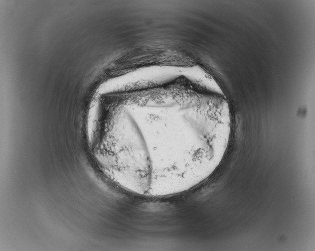 X0000113760637200910211210