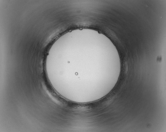 X0000113760638200910211210