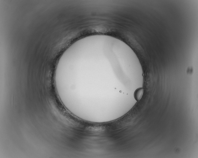 X0000113760639200910211210