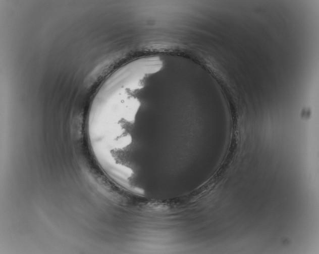 X0000113760640200910211210