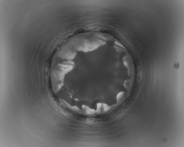 X0000113760641200910211210
