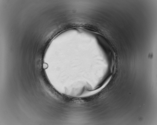 X0000113760642200910211210