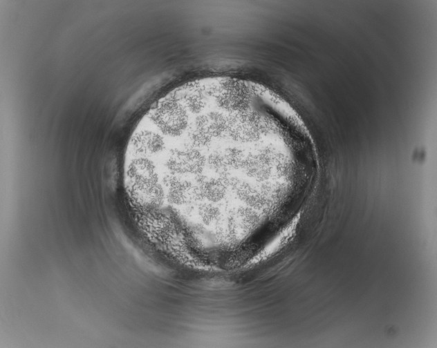 X0000113760644200910211210
