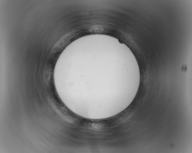 X0000113760645200910211210