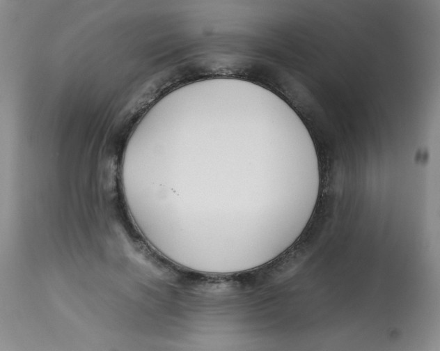 X0000113760646200910211210