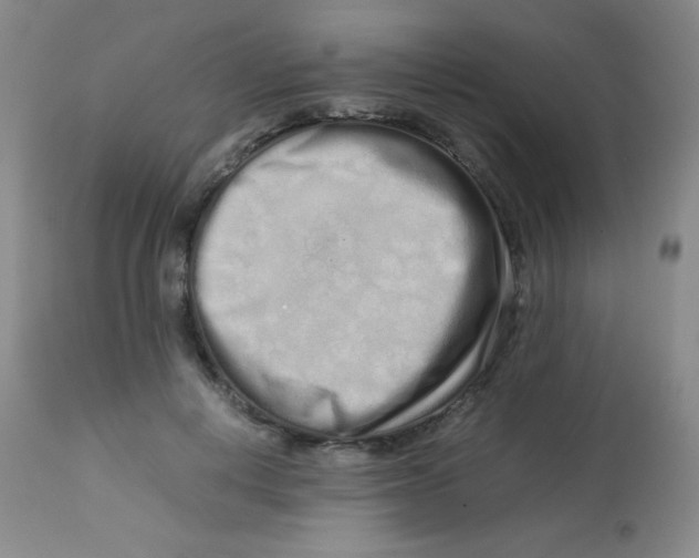 X0000113760648200910211210